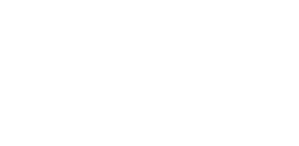 COMERCIO INTEGRAL REV S.A. DE C.V.